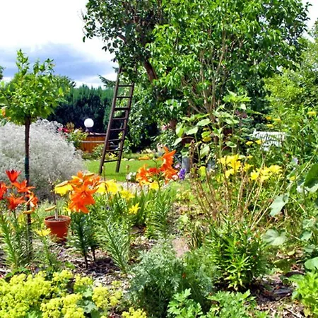 Prázdninový dům Ursula